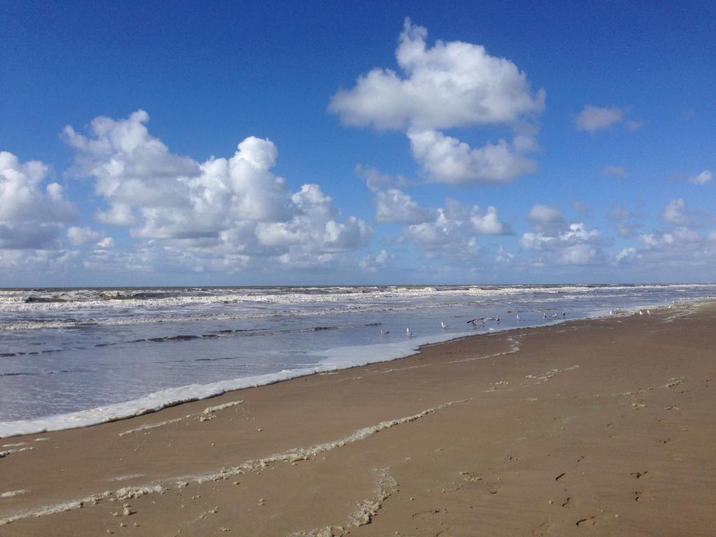 Appartamento Berrie'S Sea View Zandvoort Esterno foto