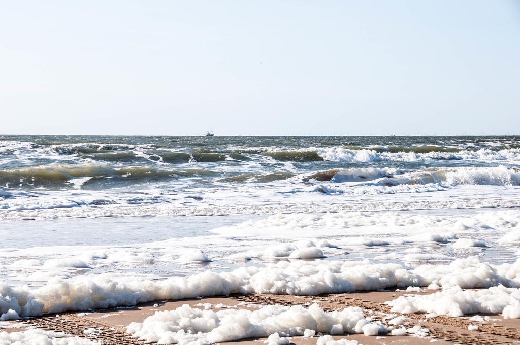 Appartamento Berrie'S Sea View Zandvoort Esterno foto